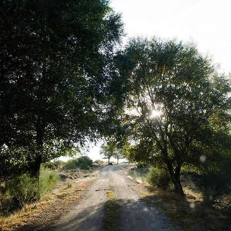 A Lagosta Perdida Montezinho Eksteriør bilde